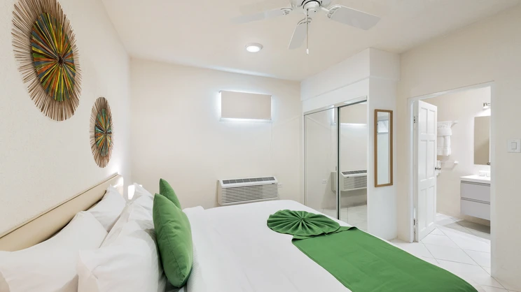 One Bedroom Apartment (Landside) 